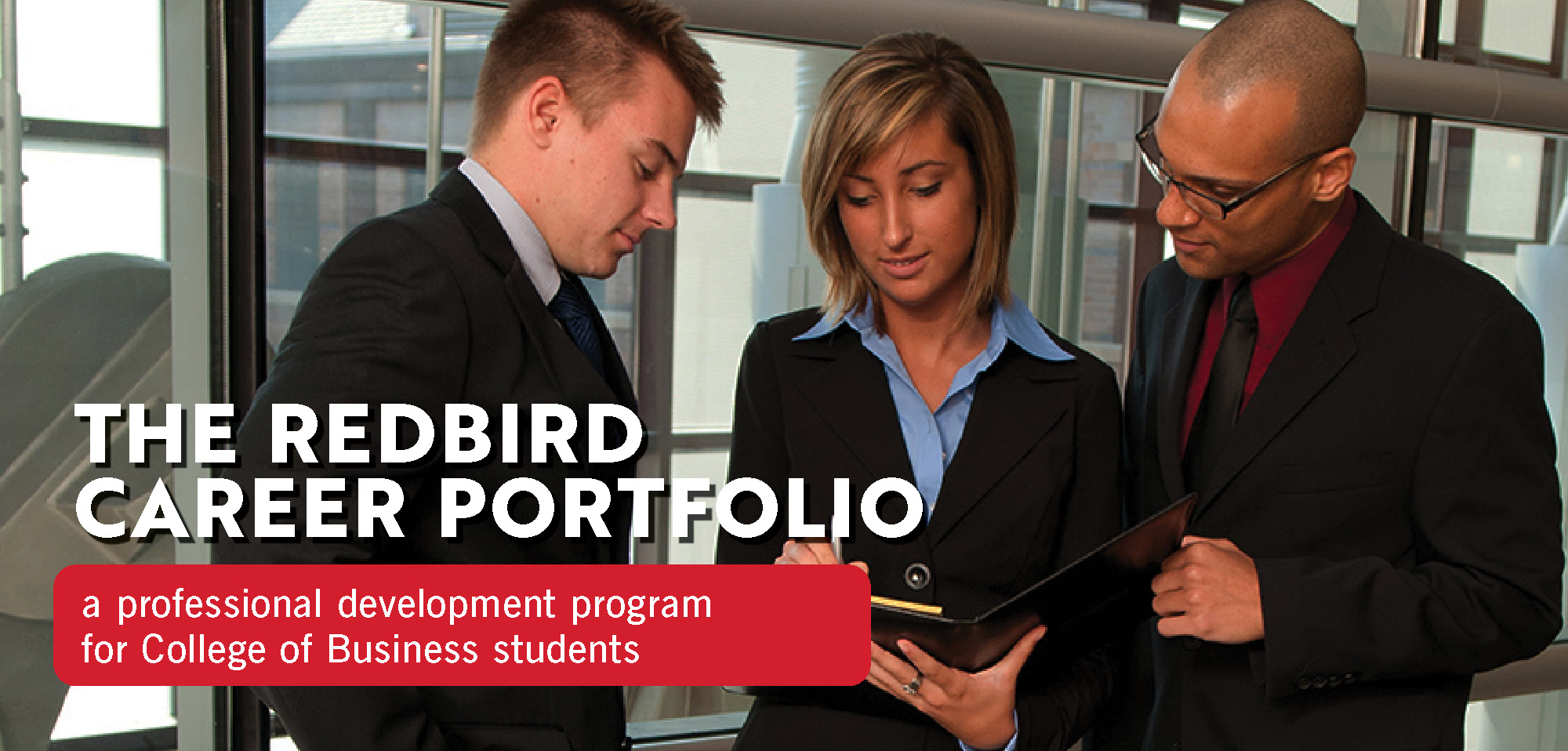 Redbird Career Portfolio